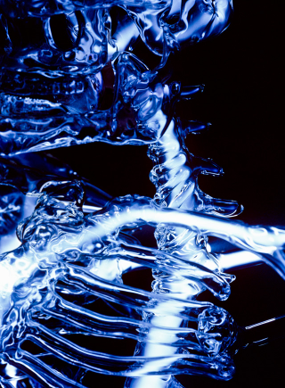 Illustration for article titled This life-size glass skeleton is illuminated by krypton